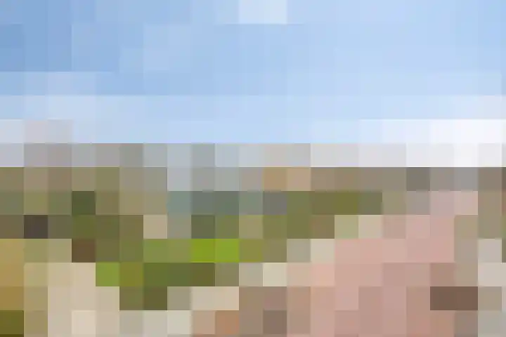 Schubertlaan 9 Vlissingen thumbnail 25