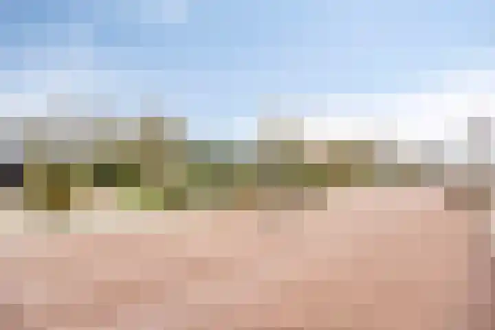Schubertlaan 9 Vlissingen thumbnail 27
