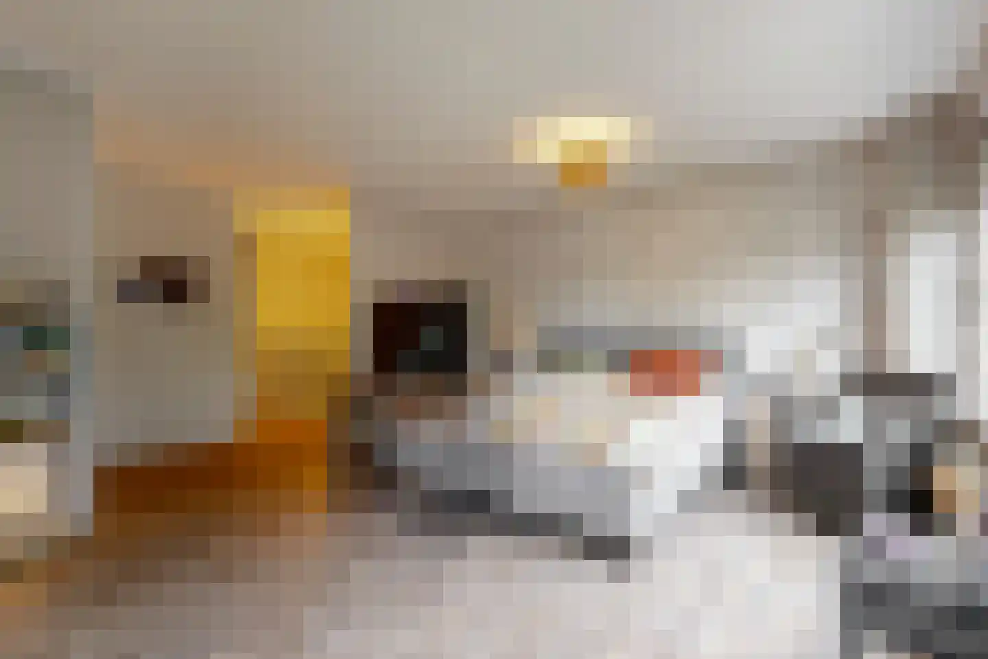 Schubertlaan 908 Maassluis thumbnail 18