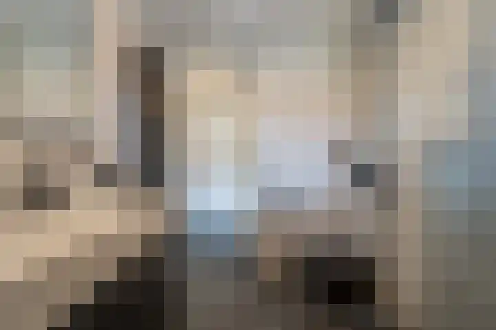 Schubertpad 3 Oud-Beijerland thumbnail 24