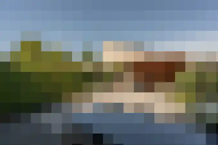 Schubertpad 3 Oud-Beijerland thumbnail 32