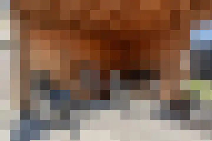 Schubertpad 3 Oud-Beijerland thumbnail 33