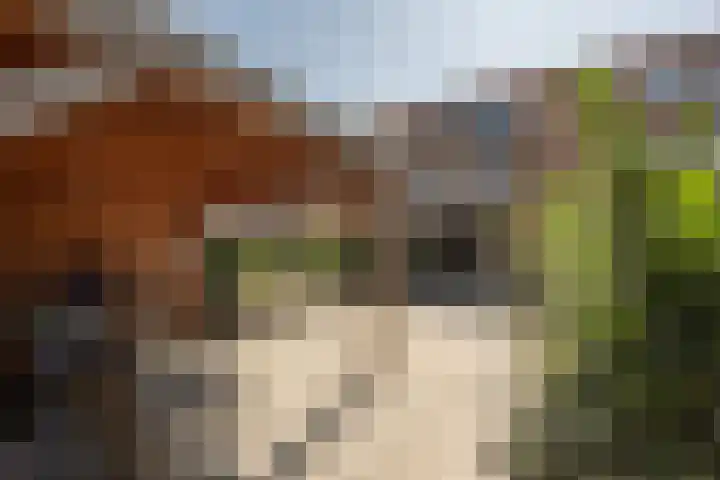 Schubertpad 3 Oud-Beijerland thumbnail 34
