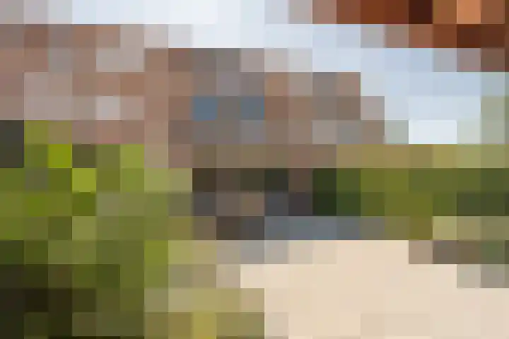 Schubertpad 3 Oud-Beijerland thumbnail 35