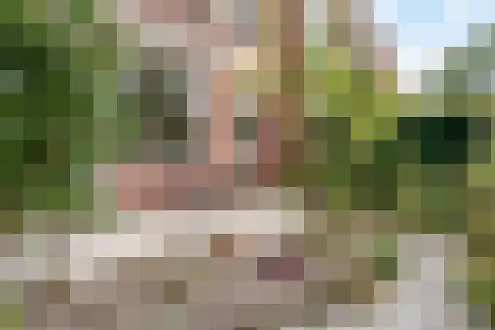Schubertplantsoen 21 Voorschoten thumbnail 16