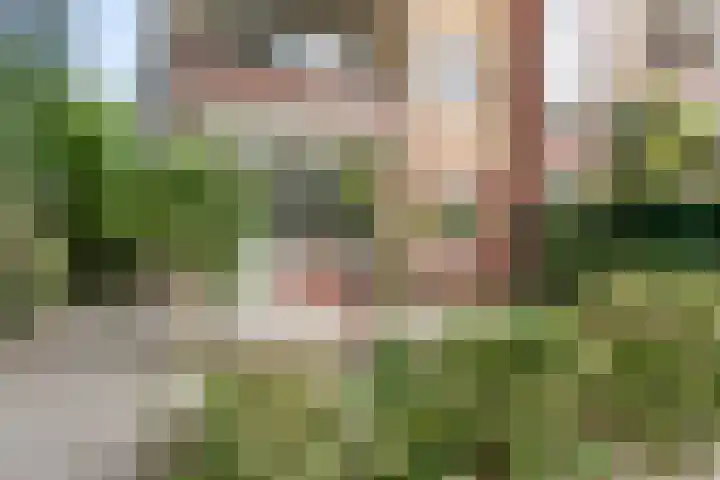 Schubertplantsoen 21 Voorschoten thumbnail 17