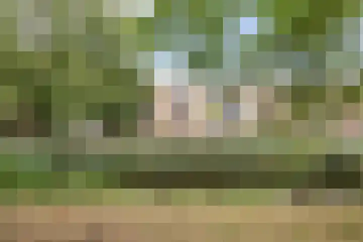 Schubertplantsoen 21 Voorschoten thumbnail 18
