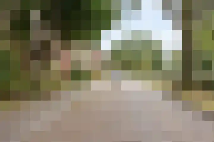 Schubertplantsoen 21 Voorschoten thumbnail 19