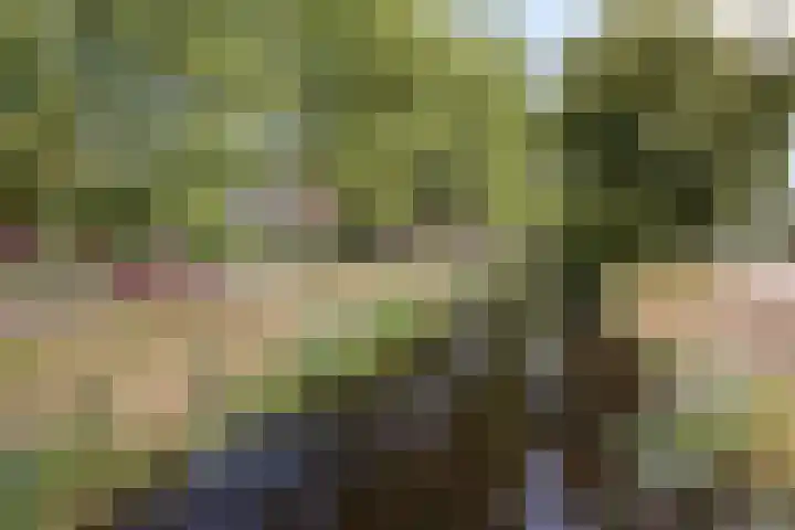 Schubertplantsoen 21 Voorschoten thumbnail 20