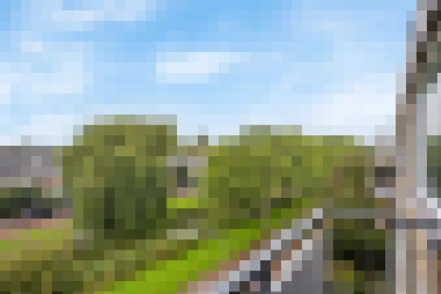 Schubertplantsoen 31 Voorschoten thumbnail 21
