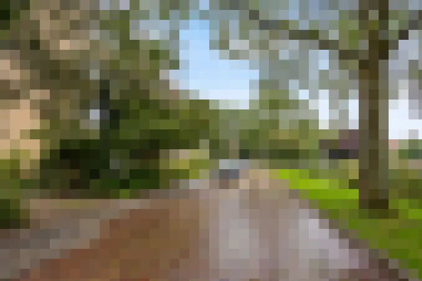Schubertplantsoen 31 Voorschoten thumbnail 39