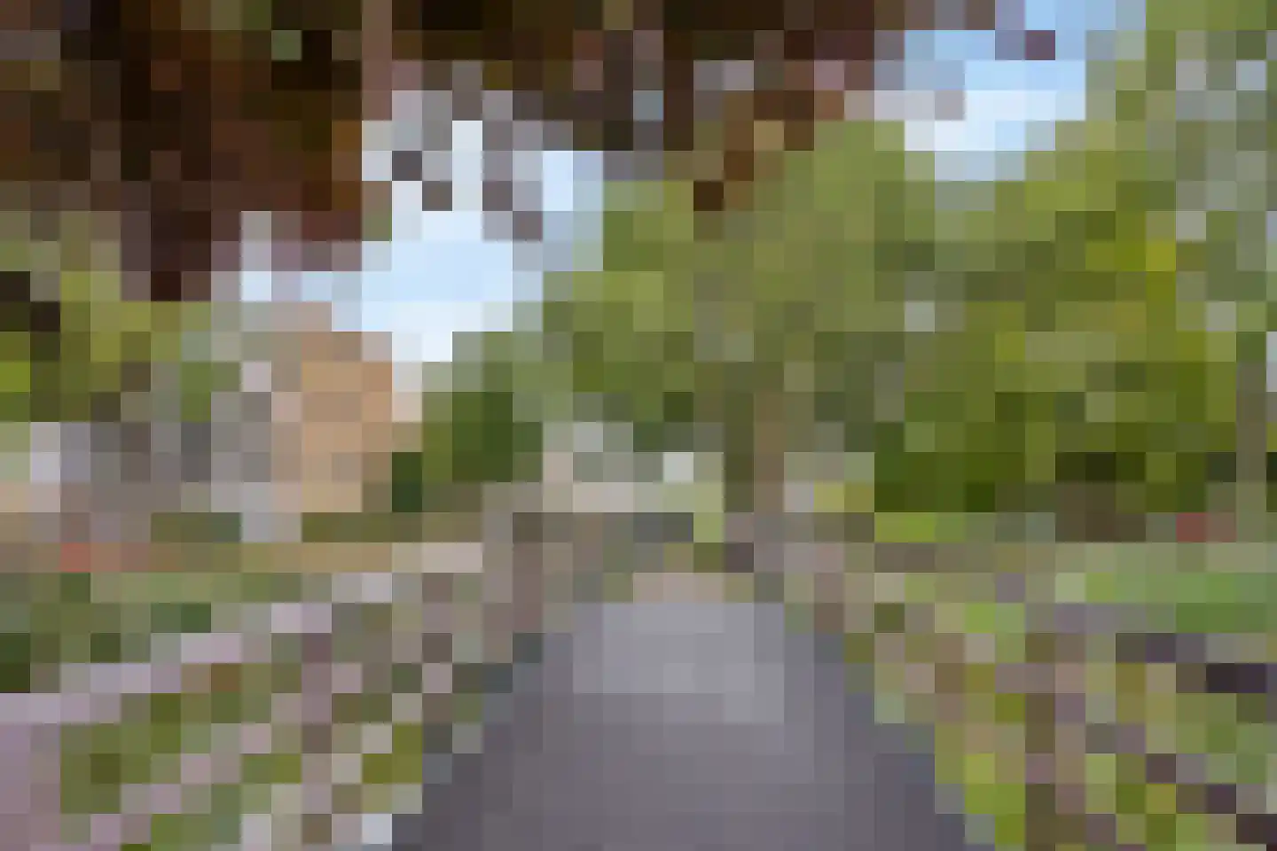 Schubertplantsoen 31 Voorschoten thumbnail 43
