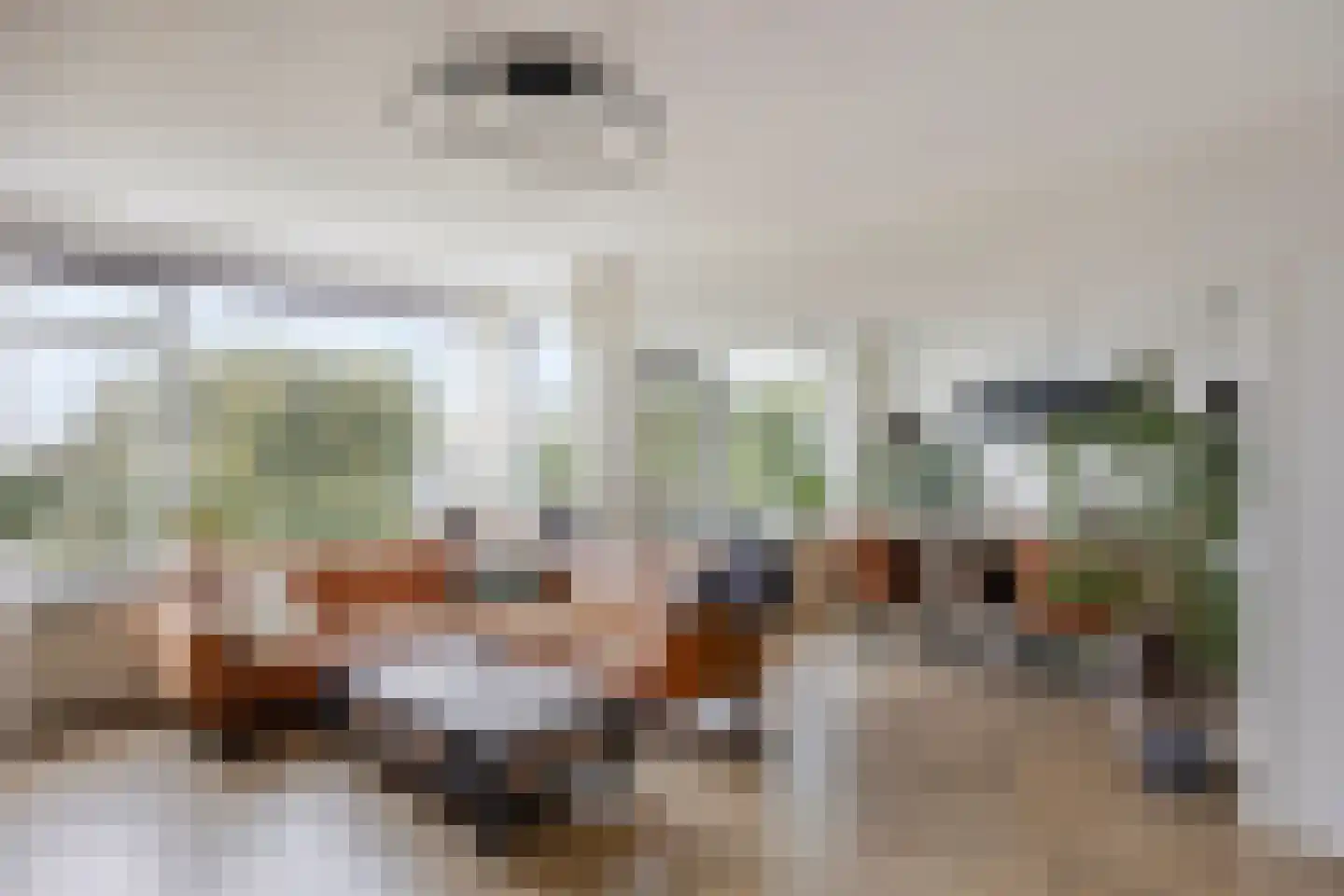 Schubertplantsoen 34 Voorschoten thumbnail 11