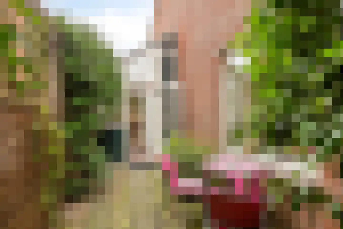 Schubertplantsoen 8 Hazerswoude-Rijndijk thumbnail 25