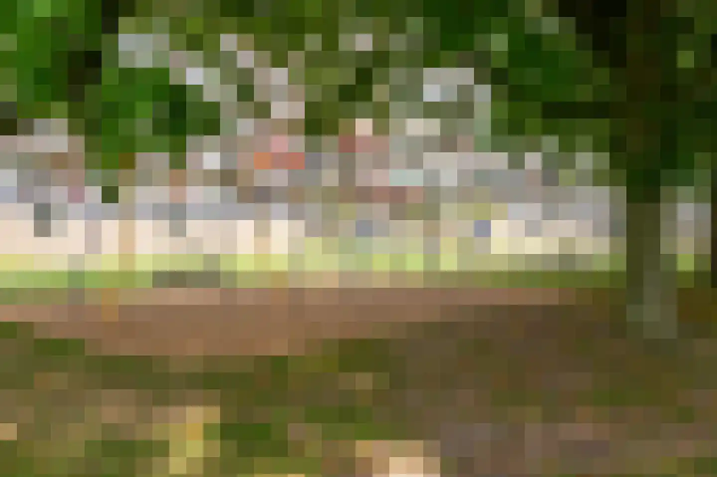 Schubertplein 169 Schiedam thumbnail 28