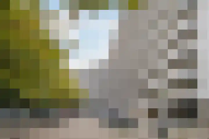 Schubertplein 229 Schiedam thumbnail 28