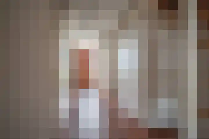 Schubertplein 33 Berkel en Rodenrijs thumbnail 7