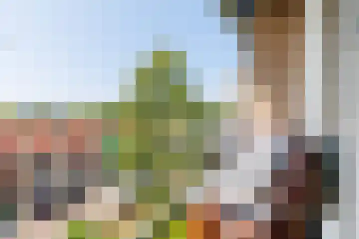 Schubertplein 40 Apeldoorn thumbnail 15