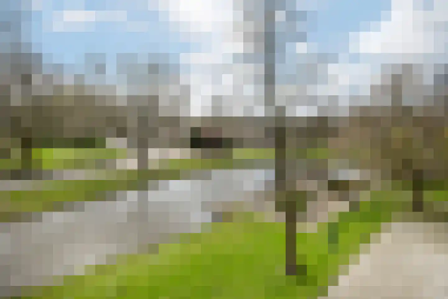 Schubertplein 43 Schiedam thumbnail 13