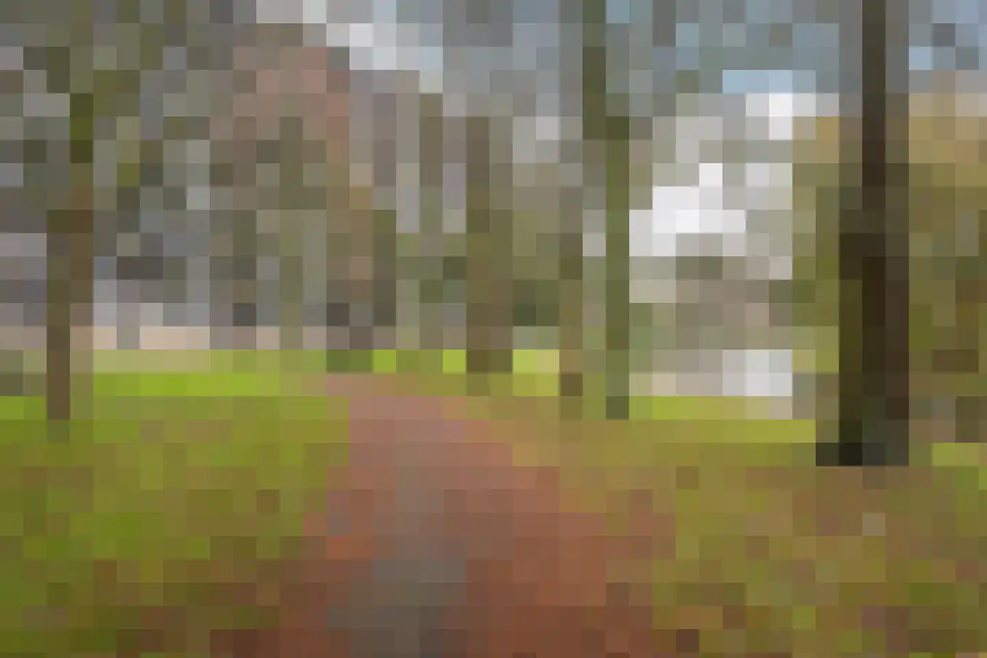 Schubertplein 47 Schiedam thumbnail 25