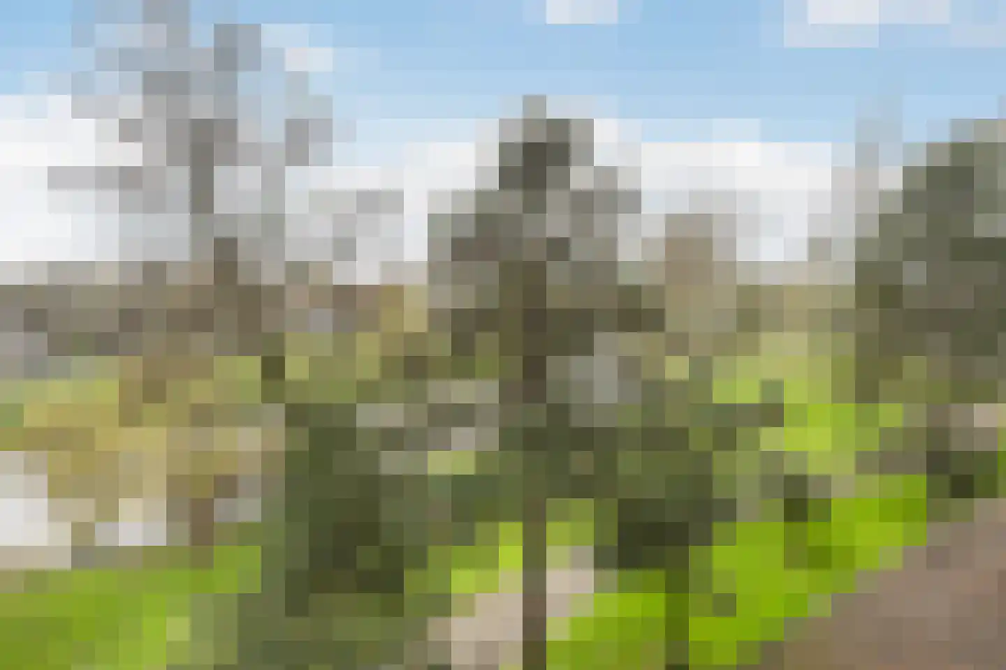 Schubertplein 47 Schiedam thumbnail 5