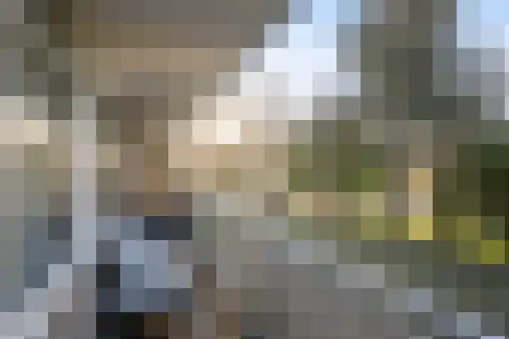 Schubertplein 8 Schiedam thumbnail 7