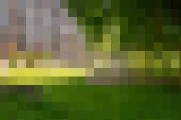 Schubertplein 95 Schiedam thumbnail 26