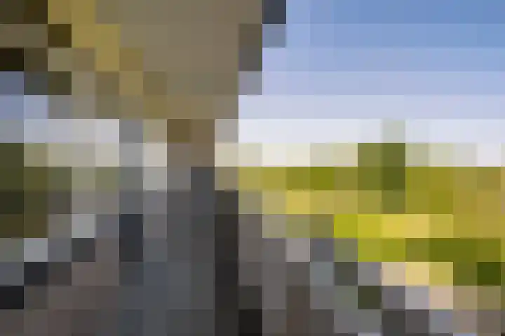 Schubertplein 97 Schiedam thumbnail 22
