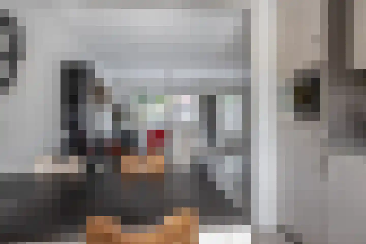 Schubertrode 11 Zoetermeer thumbnail 10