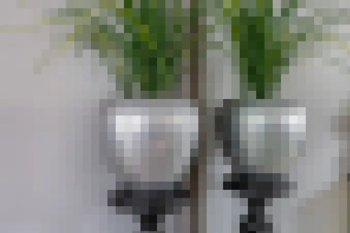 Schubertrode 11 Zoetermeer thumbnail 11