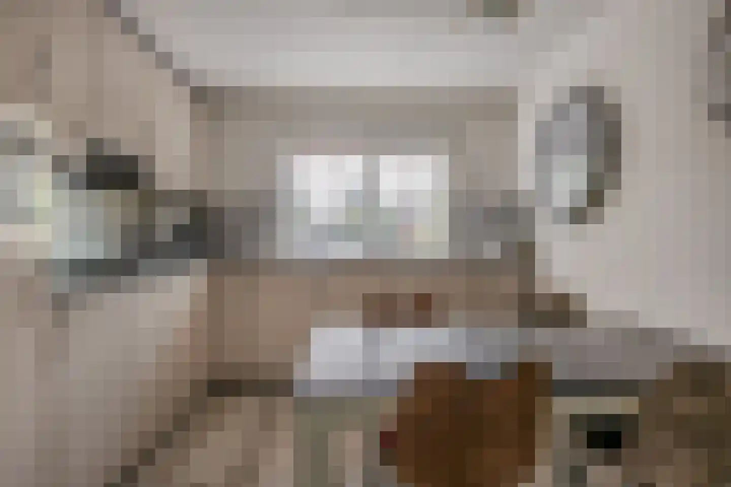 Schubertrode 11 Zoetermeer thumbnail 12