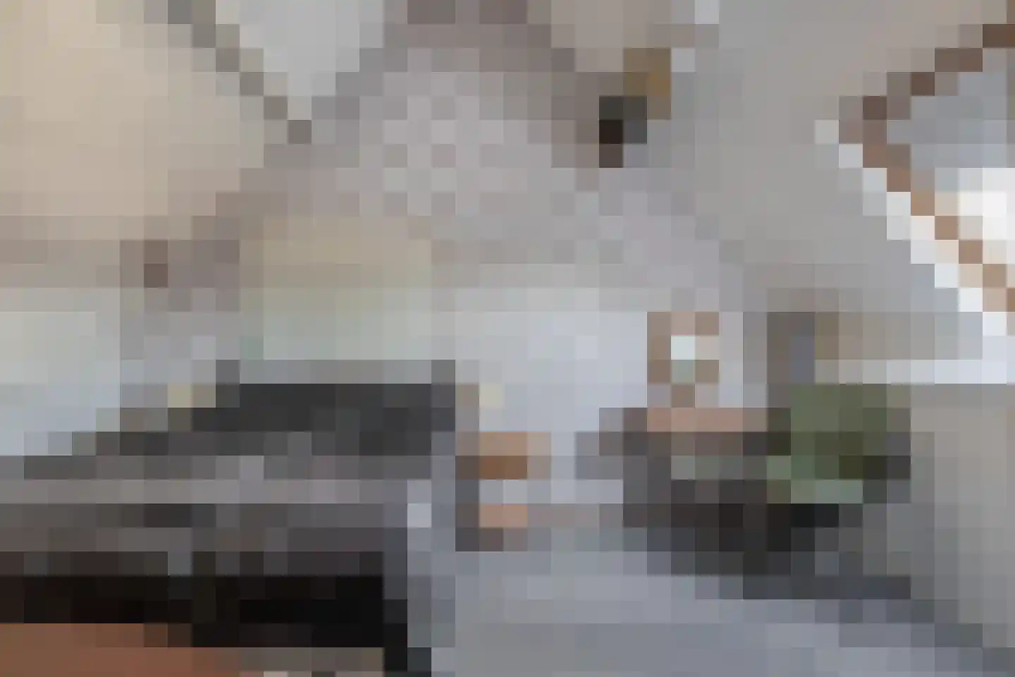Schubertrode 11 Zoetermeer thumbnail 22