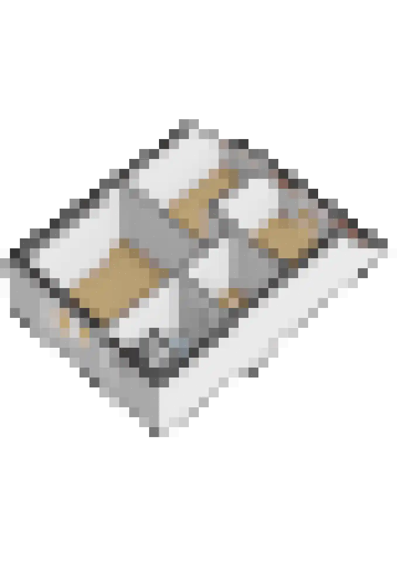 Schubertrode 11 Zoetermeer thumbnail 39