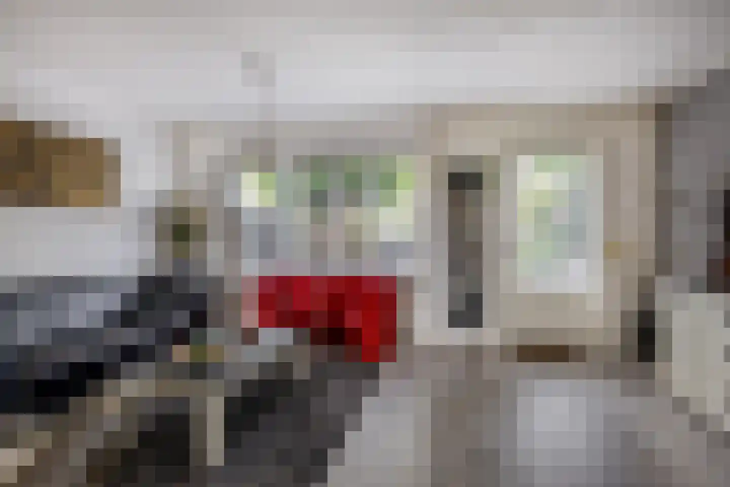 Schubertrode 11 Zoetermeer thumbnail 9