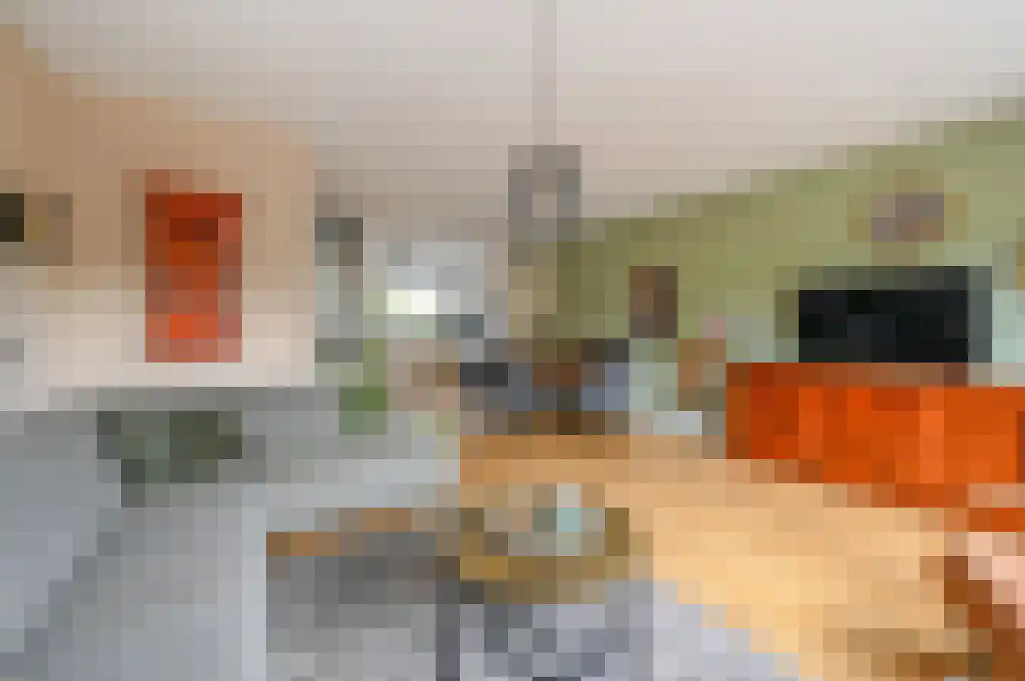 Schubertrode 4 Zoetermeer thumbnail 10