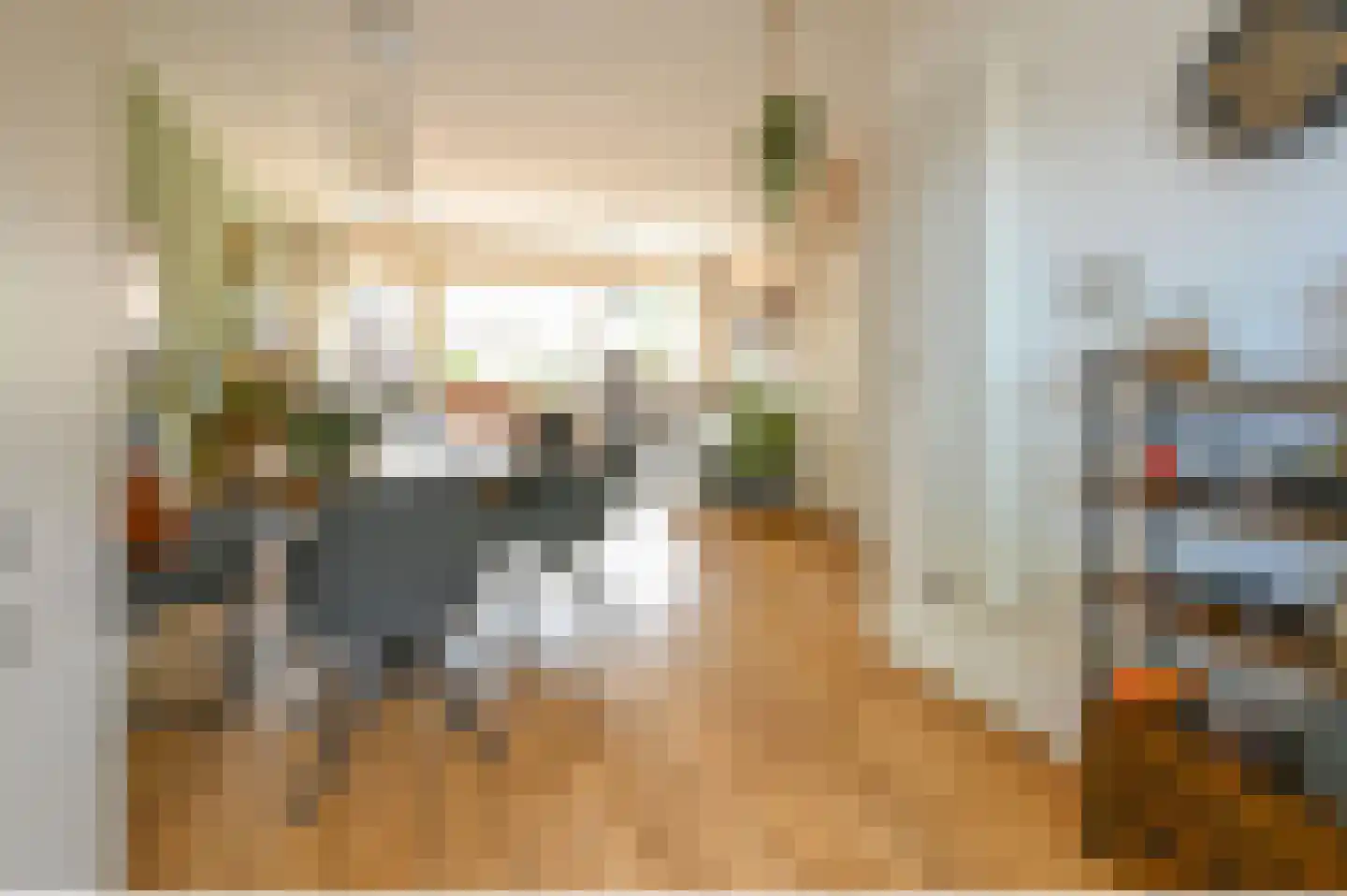 Schubertrode 4 Zoetermeer thumbnail 13