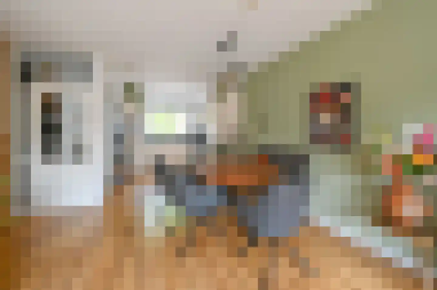 Schubertrode 4 Zoetermeer thumbnail 14