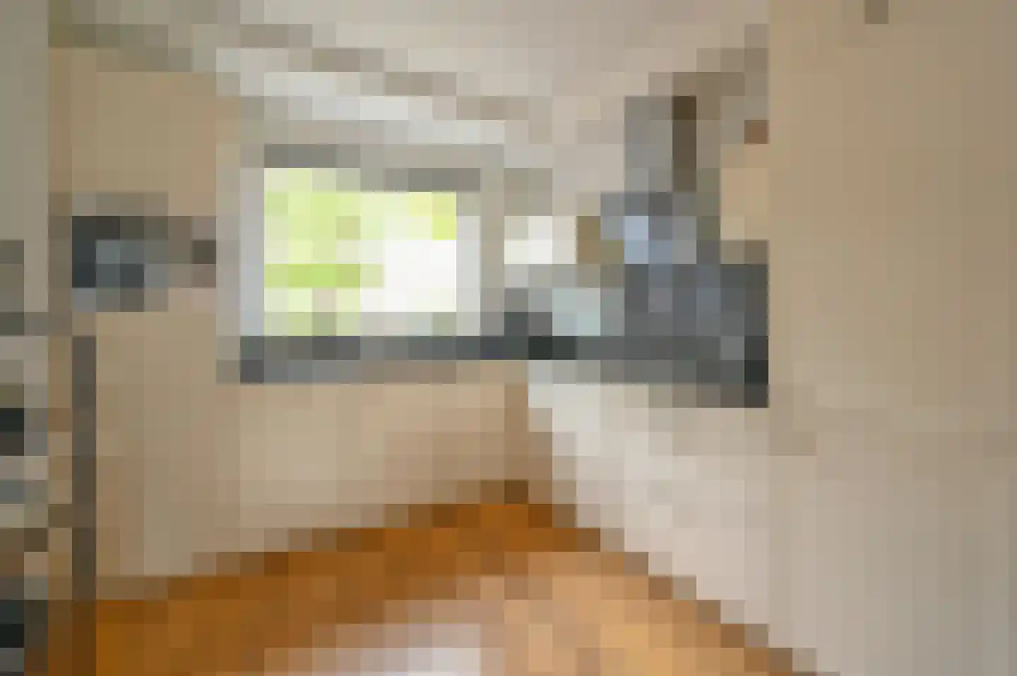 Schubertrode 4 Zoetermeer thumbnail 15