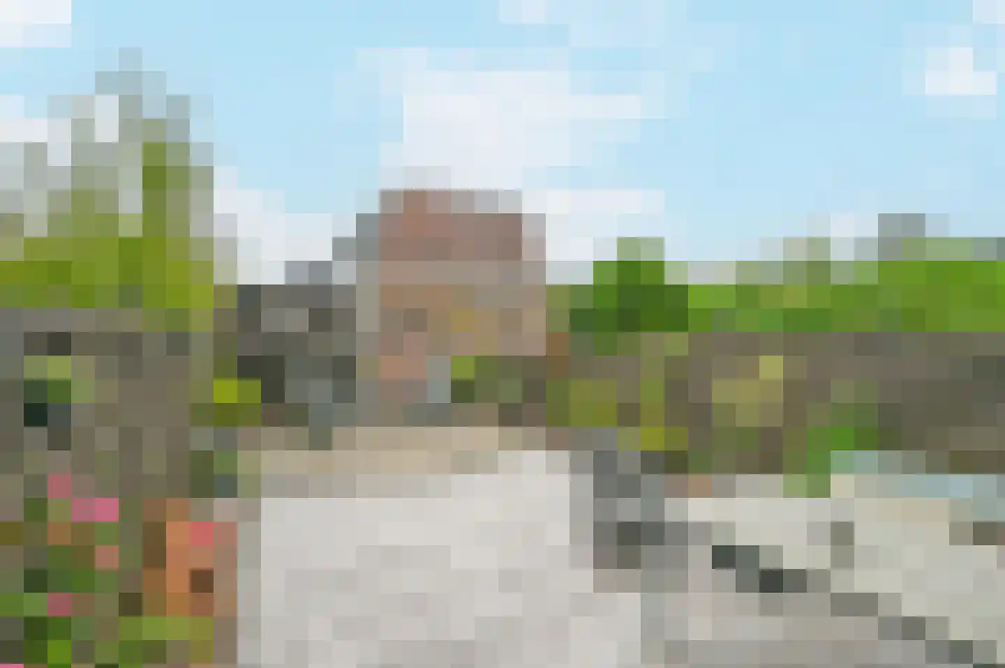Schubertrode 4 Zoetermeer thumbnail 16