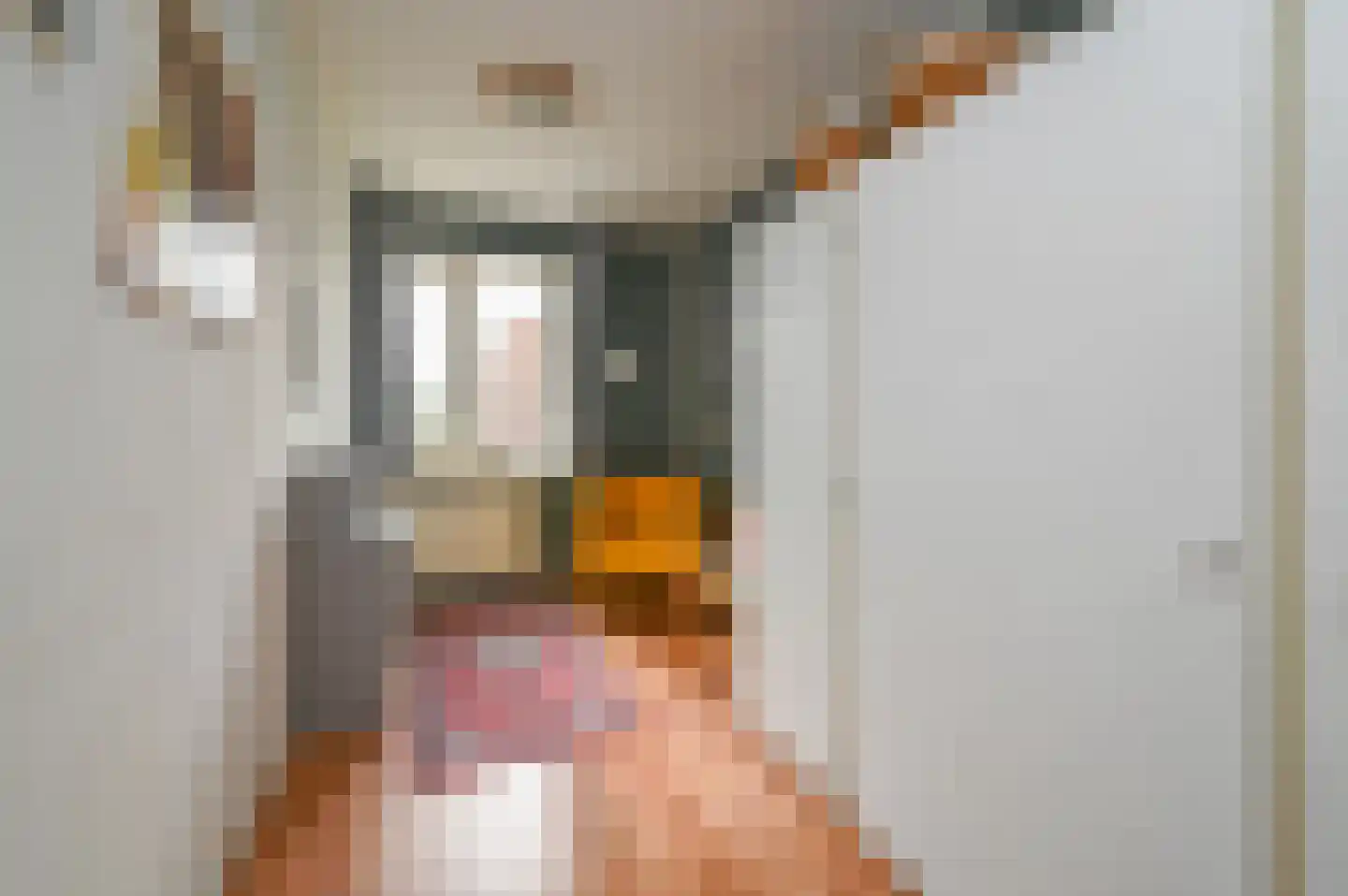 Schubertrode 4 Zoetermeer thumbnail 23
