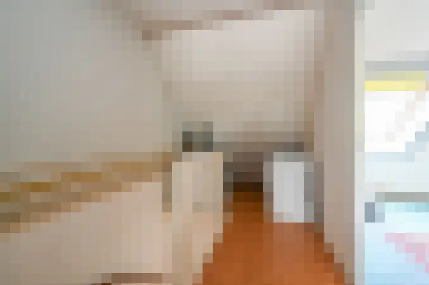 Schubertrode 4 Zoetermeer thumbnail 30