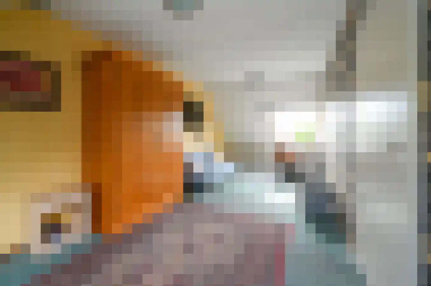 Schubertrode 4 Zoetermeer thumbnail 31