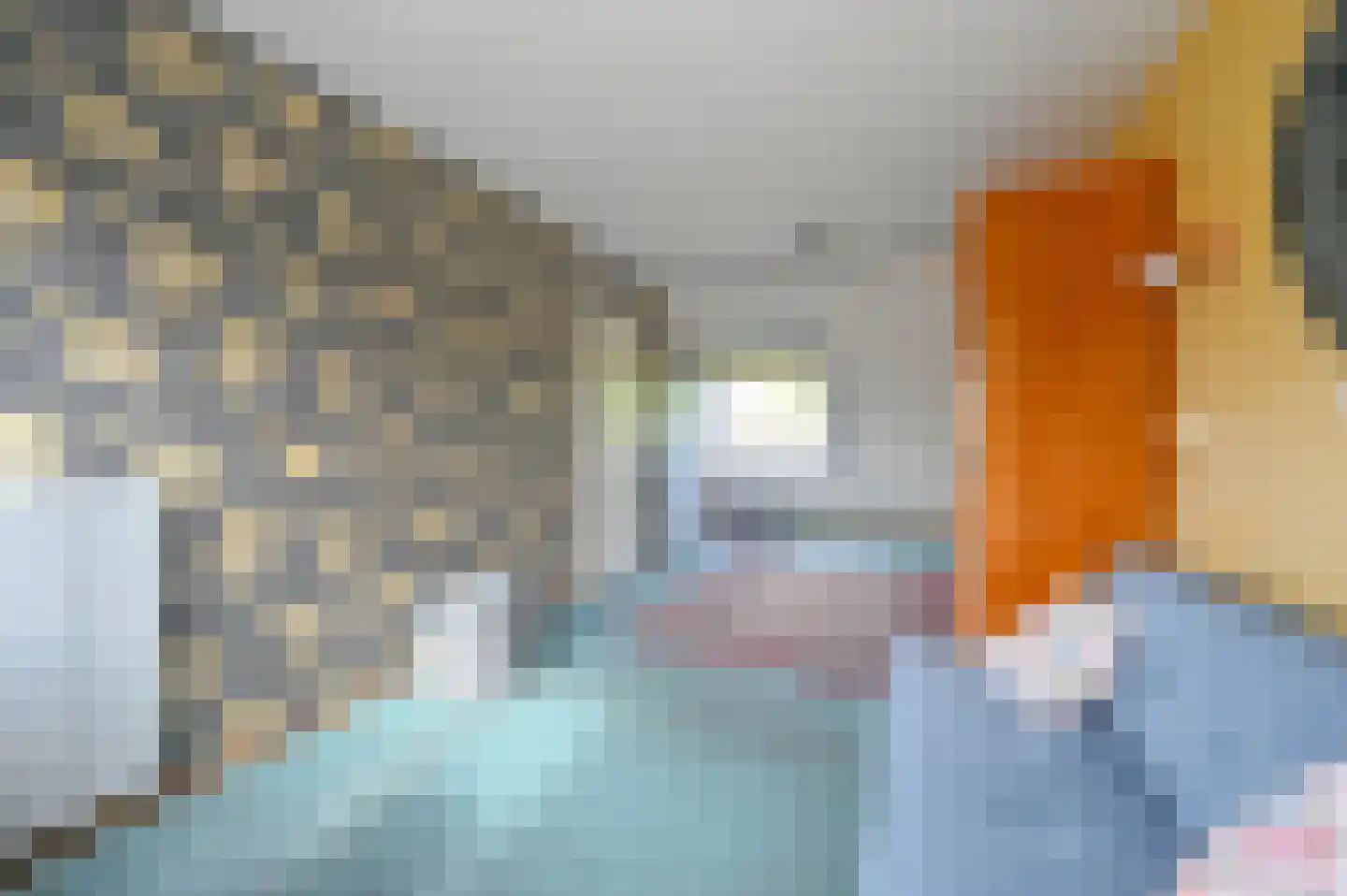 Schubertrode 4 Zoetermeer thumbnail 32