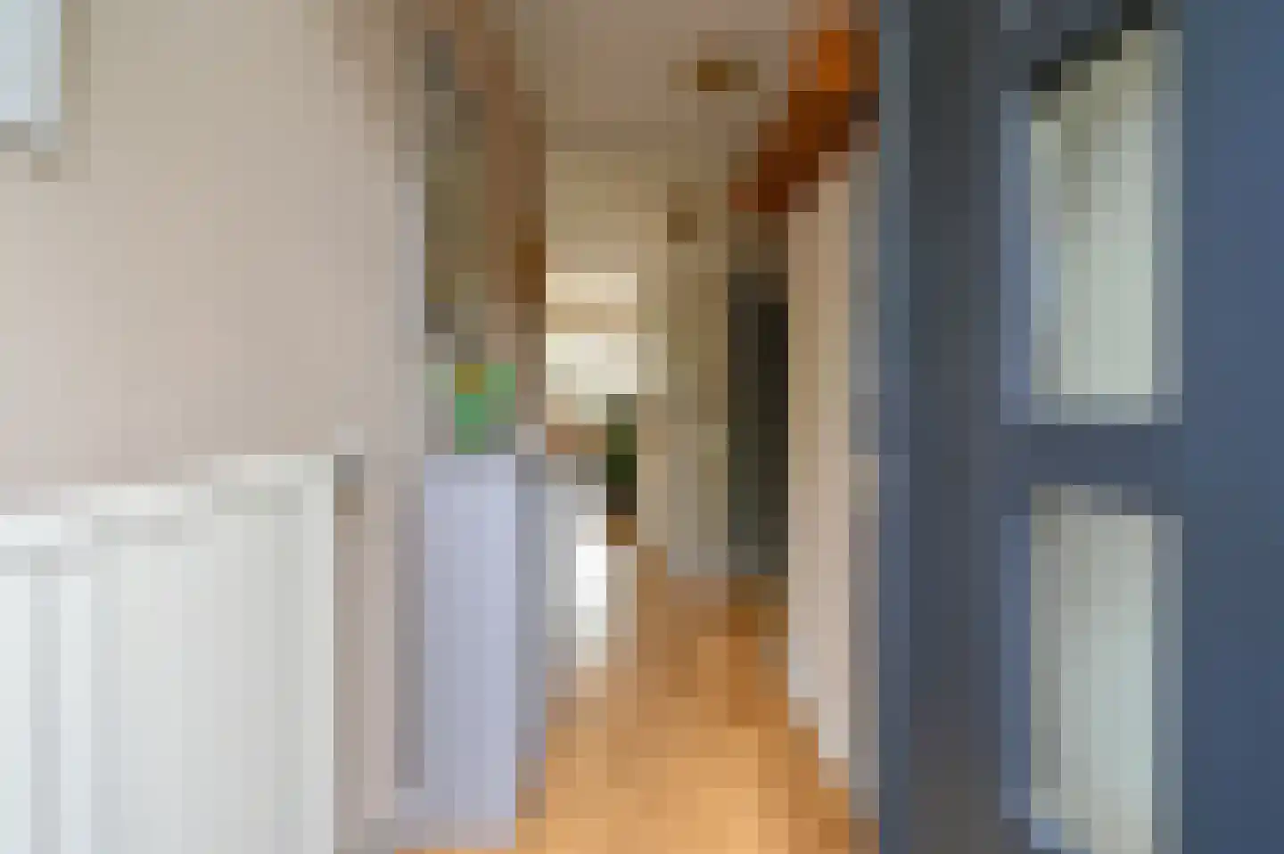 Schubertrode 4 Zoetermeer thumbnail 6