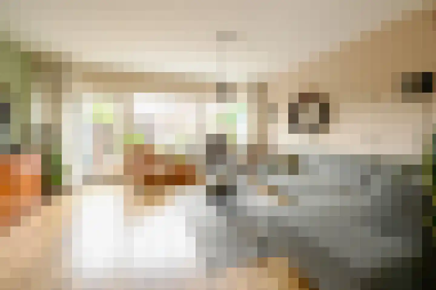 Schubertrode 4 Zoetermeer thumbnail 9