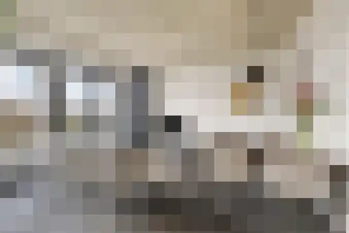Schubertsingel 107 's-Hertogenbosch thumbnail 4