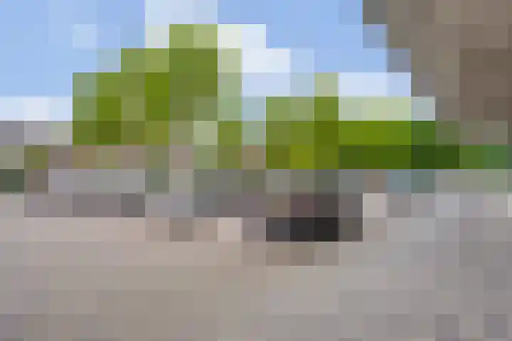 Schubertsingel 109 's-Hertogenbosch thumbnail 39