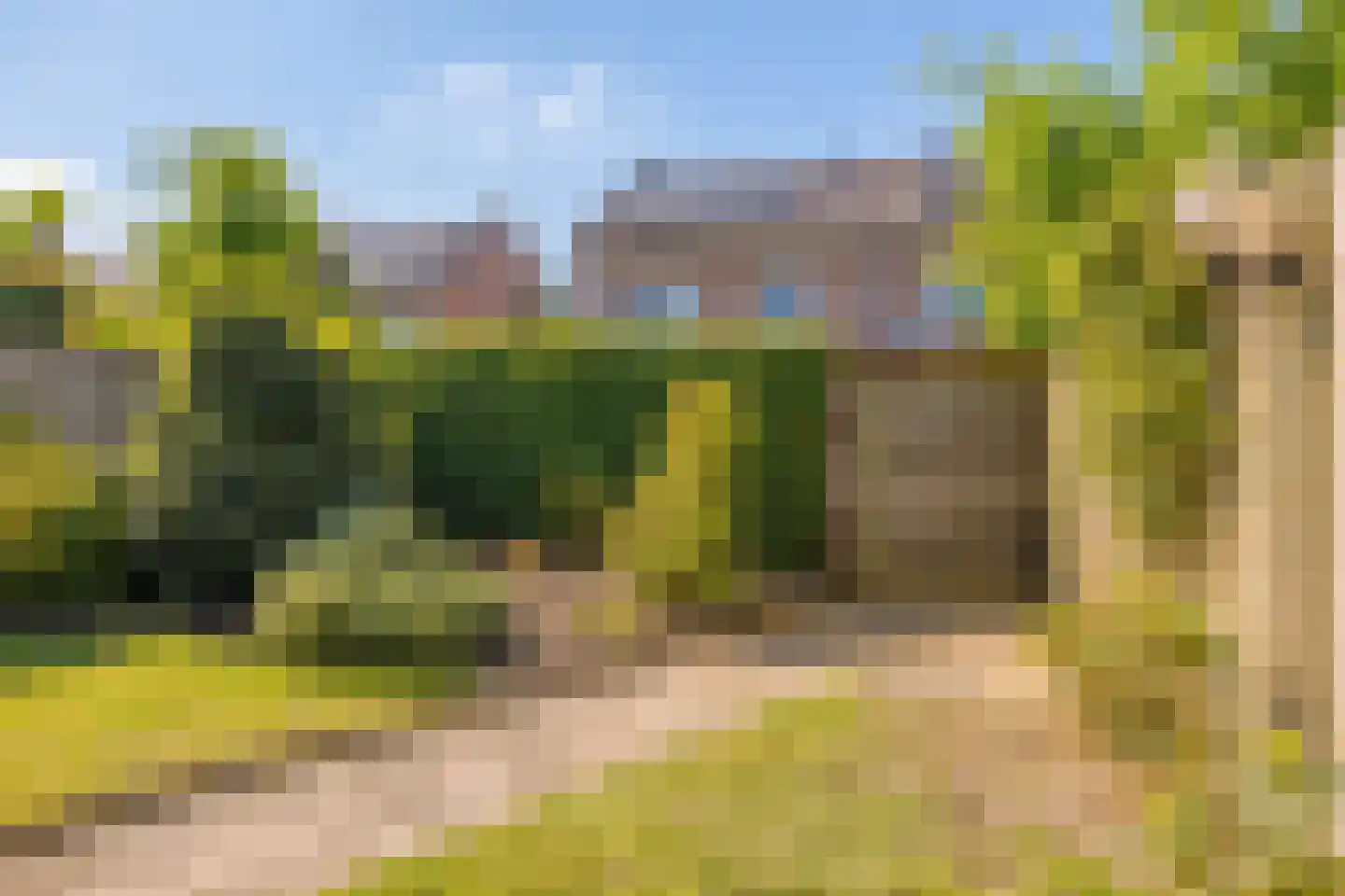Schubertsingel 12 's-Hertogenbosch thumbnail 35
