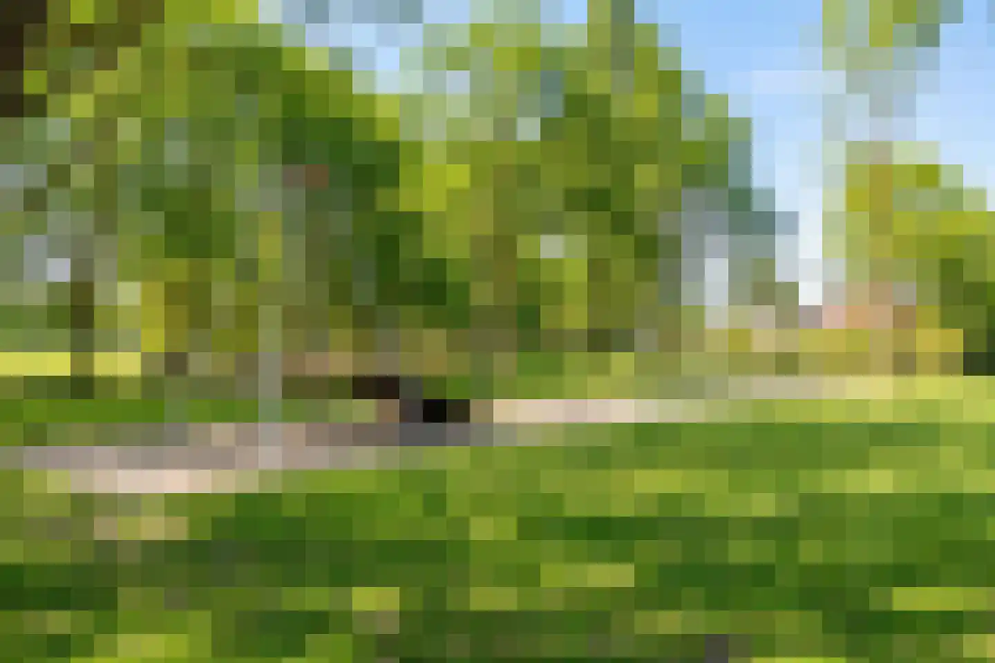 Schubertsingel 12 's-Hertogenbosch thumbnail 43