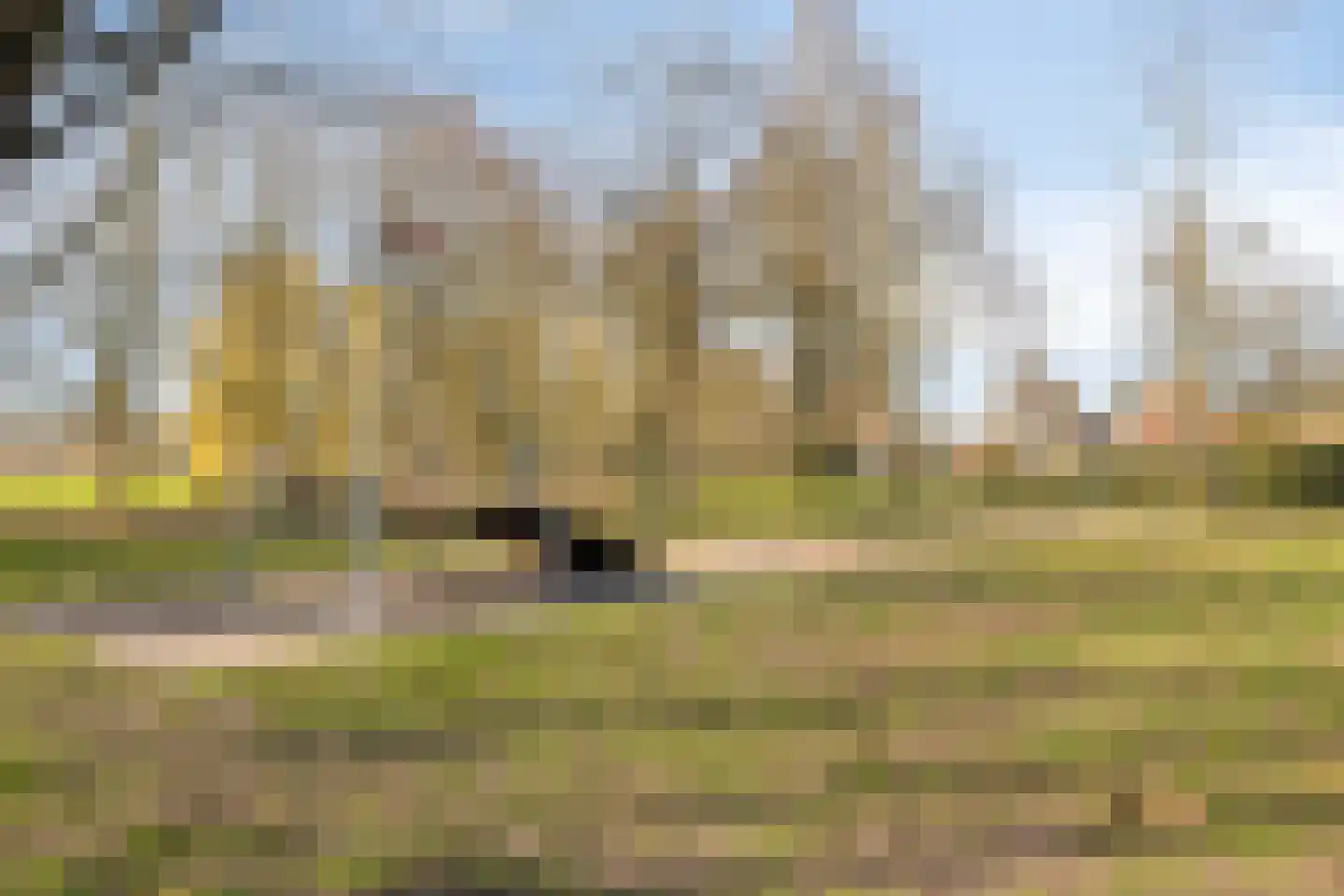 Schubertsingel 12 's-Hertogenbosch thumbnail 44